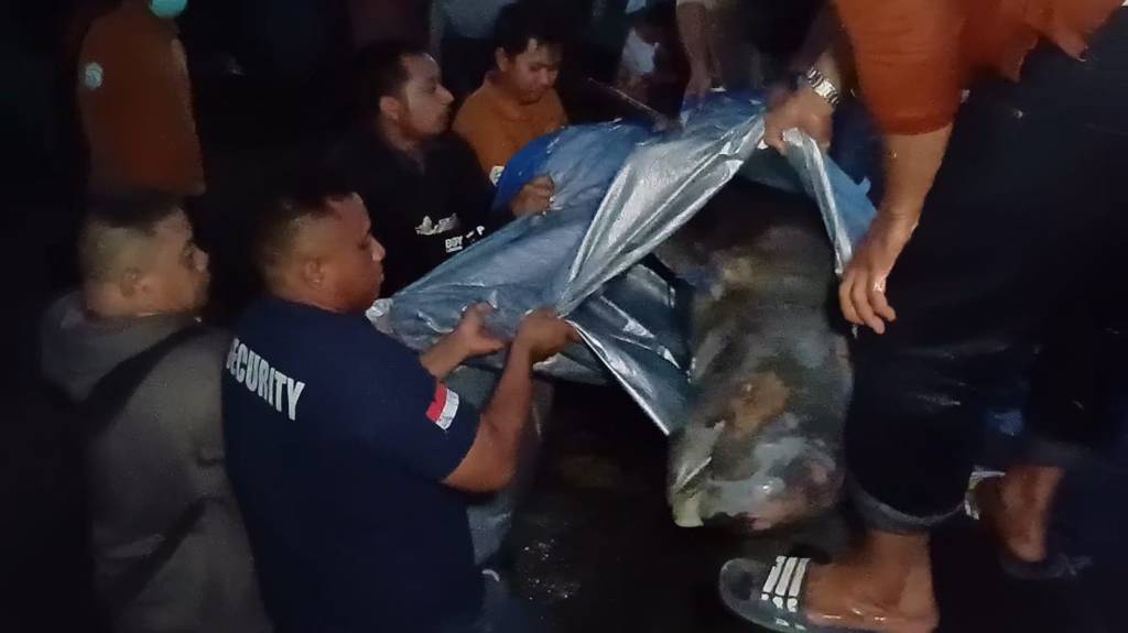 Bangkai Pesut Mahakam Ditemukan Mengapung di Sungai&nbsp;Mahakam